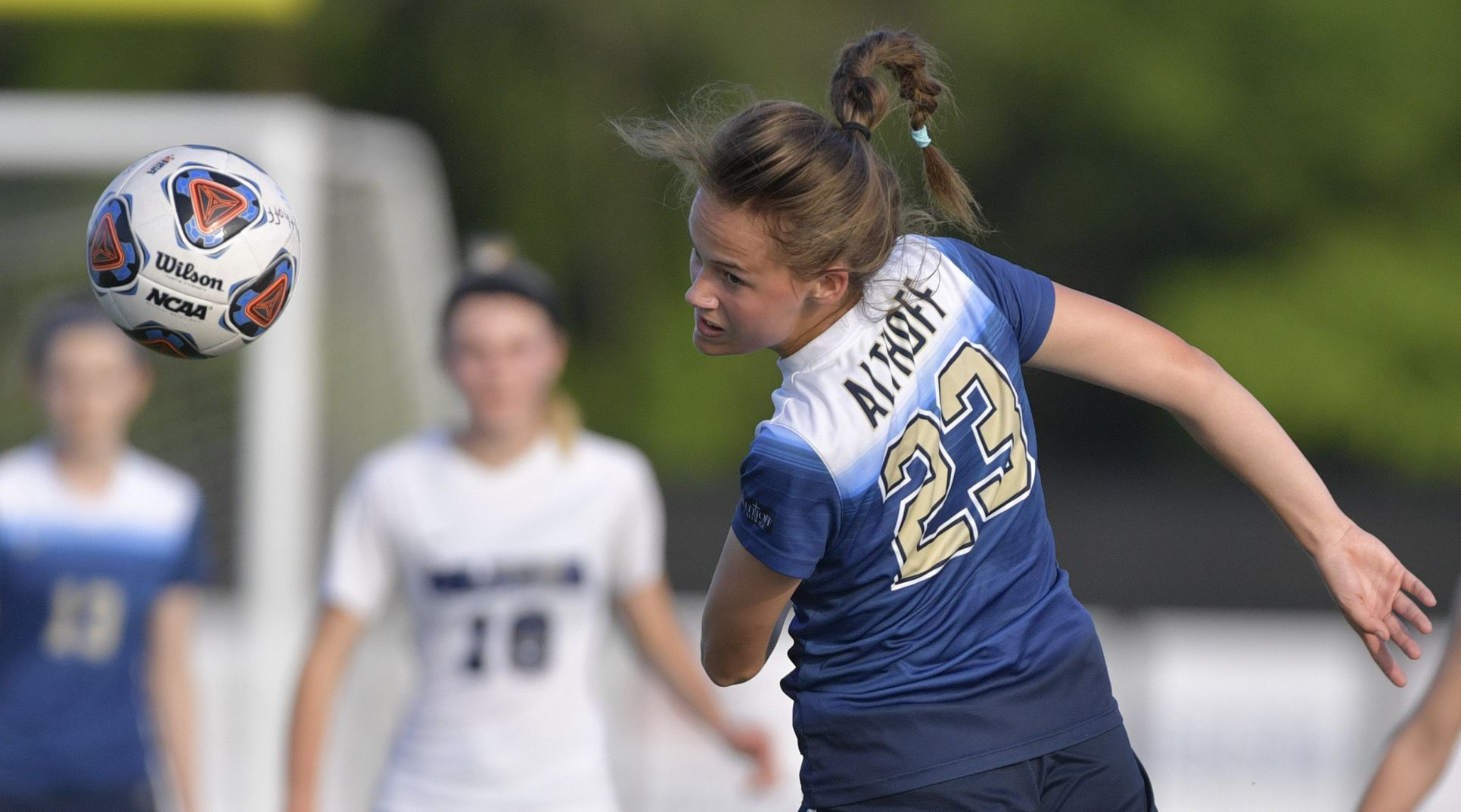 Class 1A Girls Sectional Soccer Championship